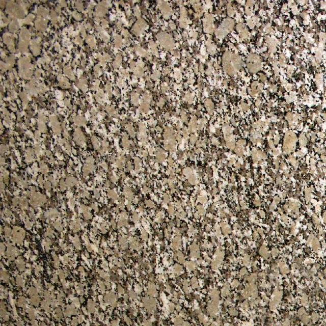 Autumn Beige Granite  Kitchen and Bathroom Countertops by TC Discount Granite